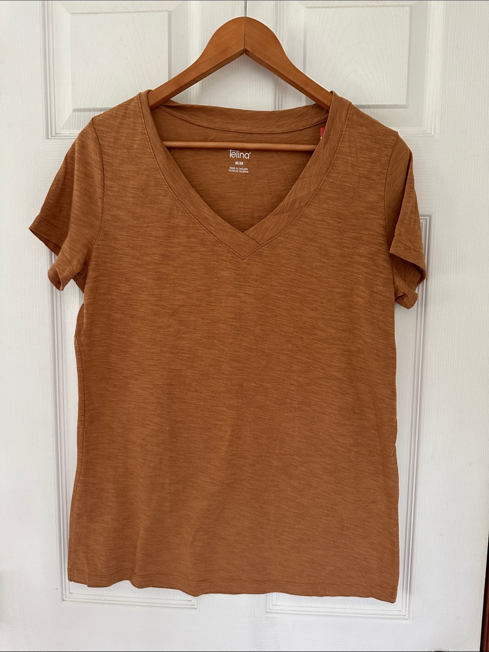 Felina Short Sleeve V-Neck Tee in Cinnamon Brown Modal